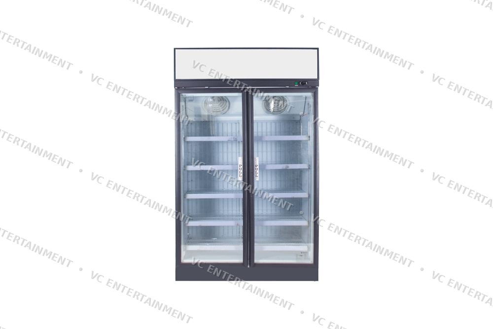 Double Door Fridge
